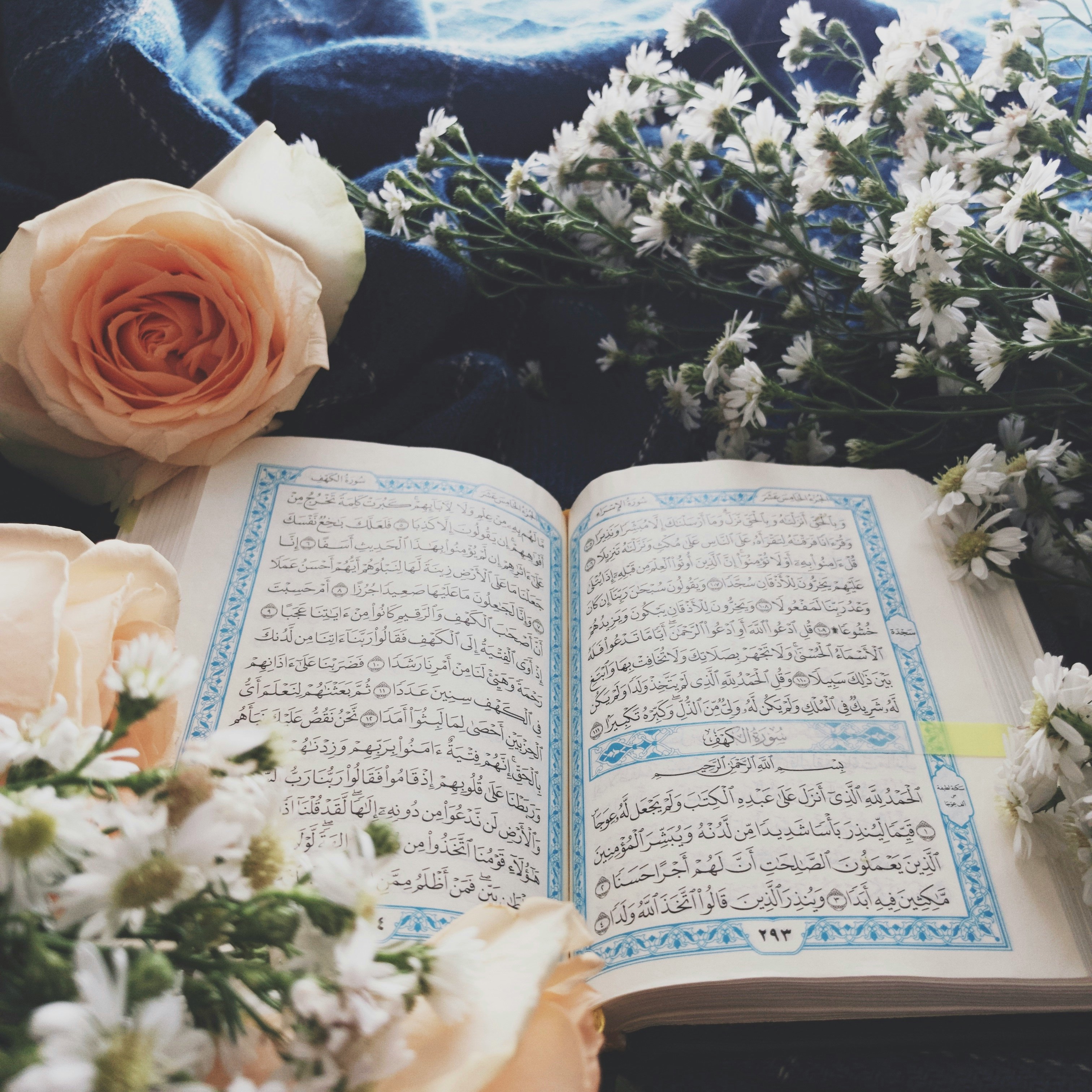 Quran Study
